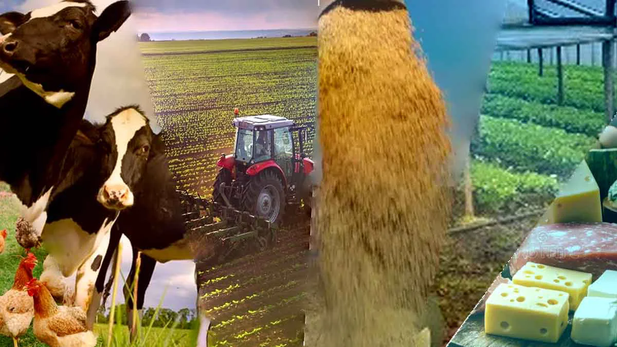 Enseñanza-agropecuaria