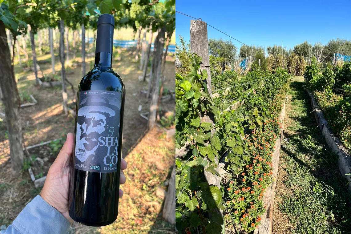 Vino santiago