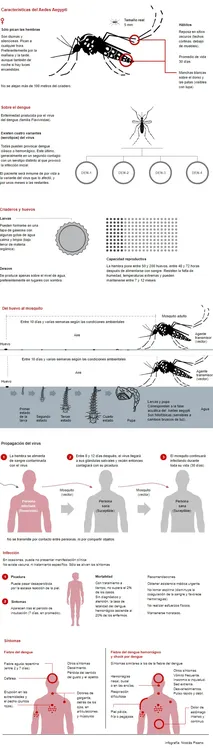 grafico dengue